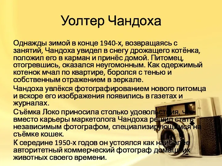 Уолтер Чандоха Однажды зимой в конце 1940-х, возвращаясь с занятий, Чандоха увидел