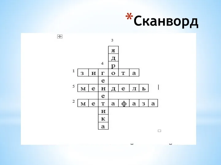 Сканворд