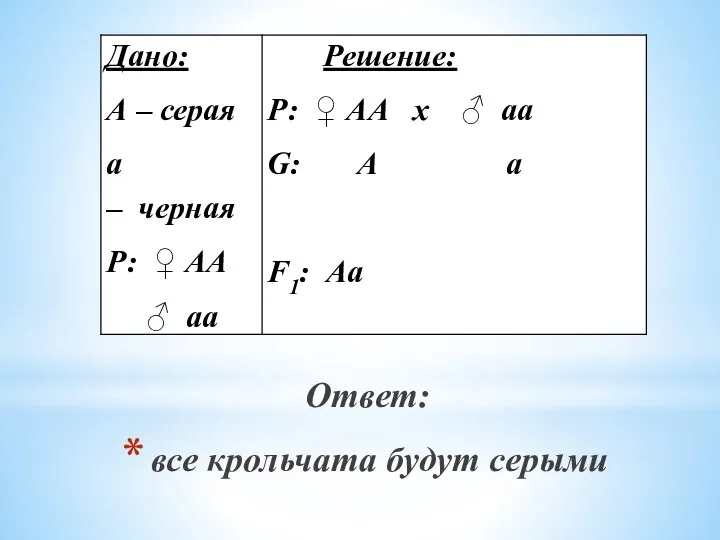 Ответ: все крольчата будут серыми