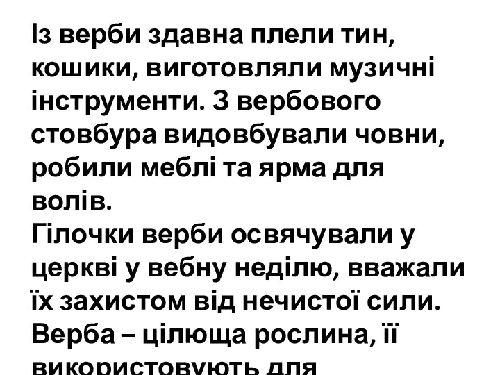 Із верби здавна плели тин, кошики, виготовляли музичні інструменти. З вербового стовбура