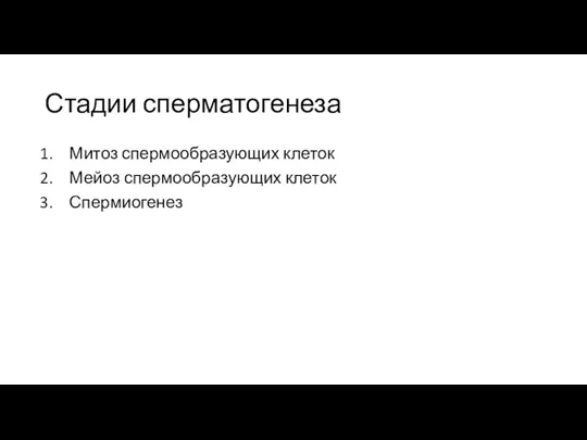 Стадии сперматогенеза Митоз спермообразующих клеток Мейоз спермообразующих клеток Спермиогенез