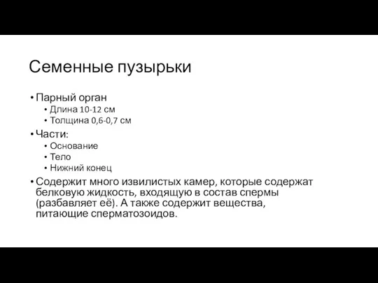 Семенные пузырьки Парный орган Длина 10-12 см Толщина 0,6-0,7 см Части: Основание