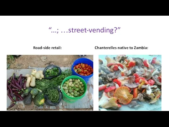 “...; …street-vending?” Road-side retail: Chanterelles native to Zambia: