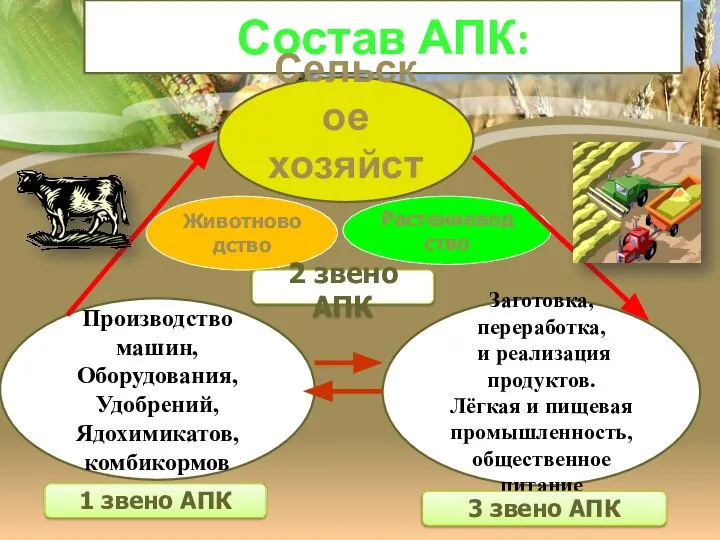 Состав АПК: Сельское хозяйство Животноводство Растениеводство 2 звено АПК Производство машин, Оборудования,