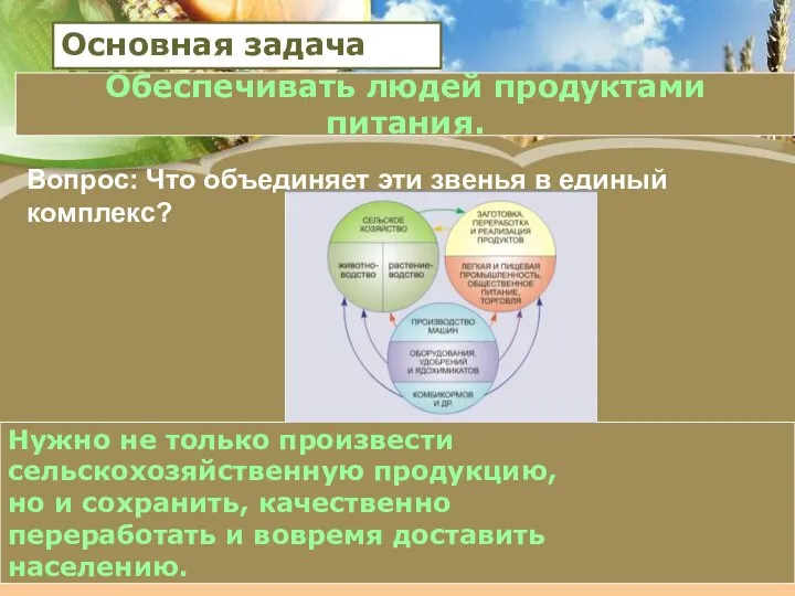 Вопрос: Что объединяет эти звенья в единый комплекс? Нужно не только произвести