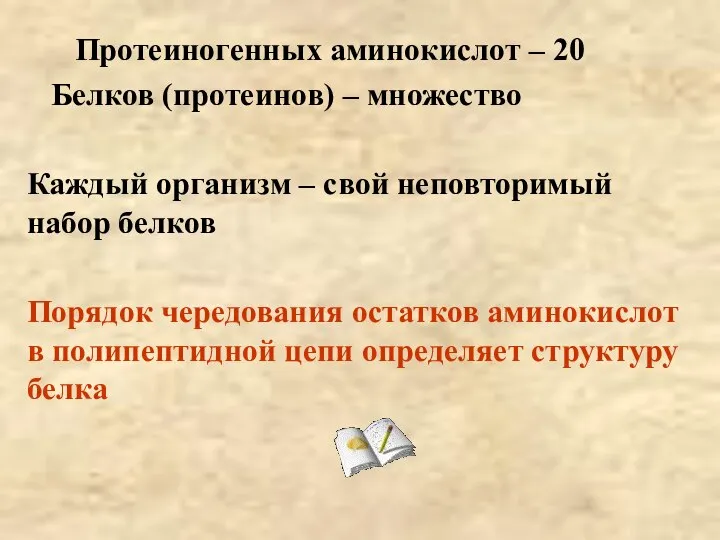 Протеиногенных аминокислот – 20 Белков (протеинов) – множество Каждый организм – свой