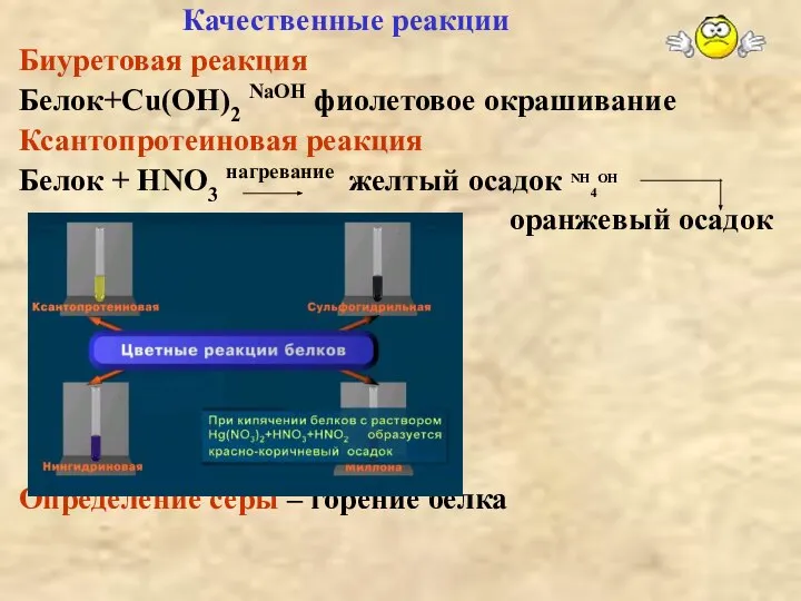 Качественные реакции Биуретовая реакция Белок+Сu(OH)2 NaOH фиолетовое окрашивание Ксантопротеиновая реакция Белок +