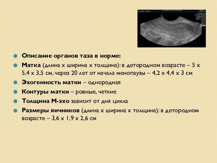 Описание органов таза в норме: Матка (длина х ширина х толщина): в