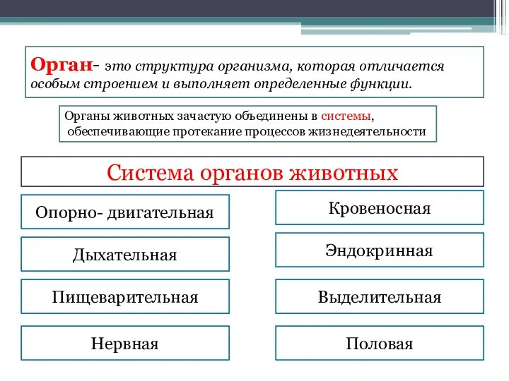 Орган- это структура организма, которая отличается особым строением и выполняет определенные функции.