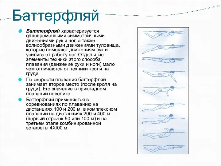 Баттерфляй Баттерфляй характеризуется одновременными симметричными движениями рук и ног, а также волнообразными