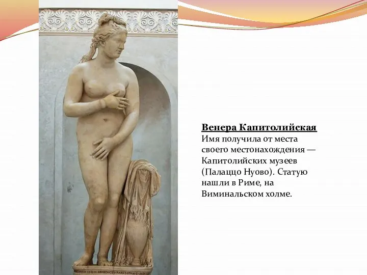 Венера Капитолийская Имя получила от места своего местонахождения — Капитолийских музеев (Палаццо