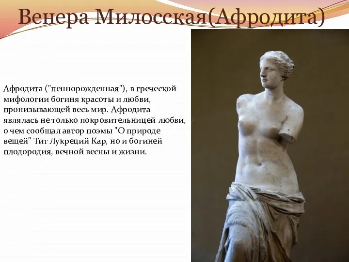 Венера Милосская(Афродита) Афродита ("пеннорожденная"), в греческой мифологии богиня красоты и любви, пронизывающей