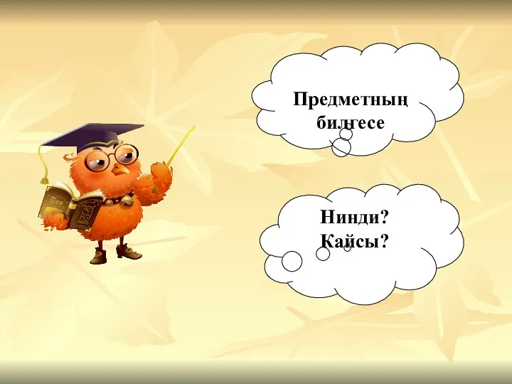 Предметның билгесе Нинди? Кайсы?