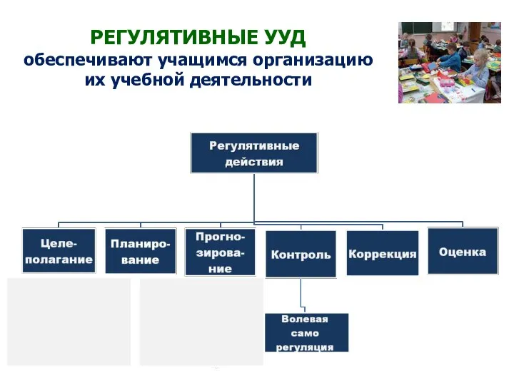 РЕГУЛЯТИВНЫЕ УУД обеспечивают учащимся организацию их учебной деятельности