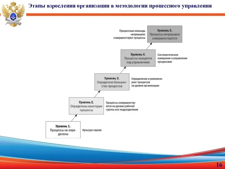 Этапы взросления организации в методологии процессного управления