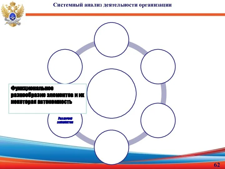 Системный анализ деятельности организации Функциональное разнообразие элементов и их некоторая автономность