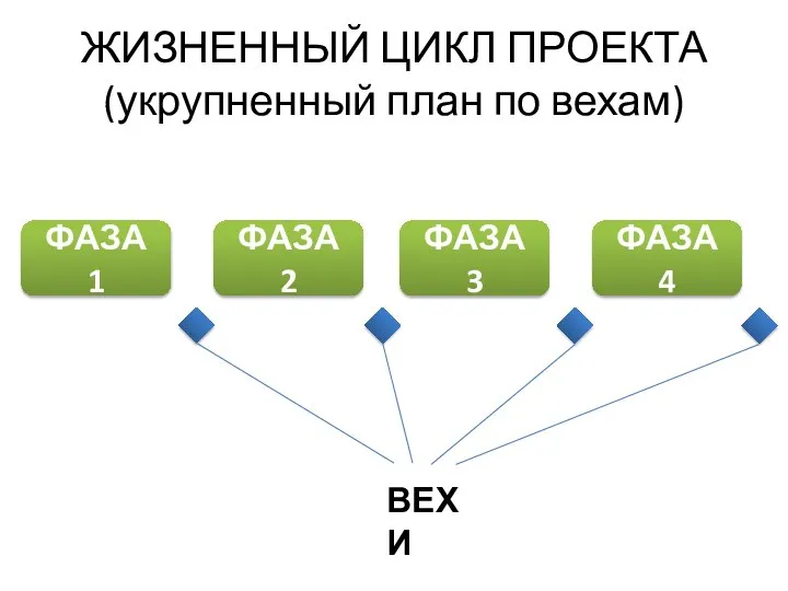 ЖИЗНЕННЫЙ ЦИКЛ ПРОЕКТА (укрупненный план по вехам) ФАЗА 1 ФАЗА 2 ФАЗА 3 ФАЗА 4 ВЕХИ