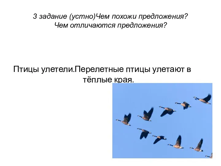 3 задание (устно)Чем похожи предложения? Чем отличаются предложения? Птицы улетели. Перелетные птицы улетают в тёплые края.