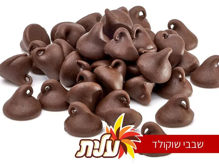 שבבי שוקולד