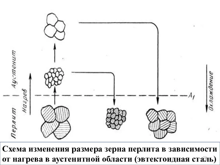 Схема изменения размера зерна перлита в зависимости от нагрева в аустенитной области (эвтектоидная сталь)