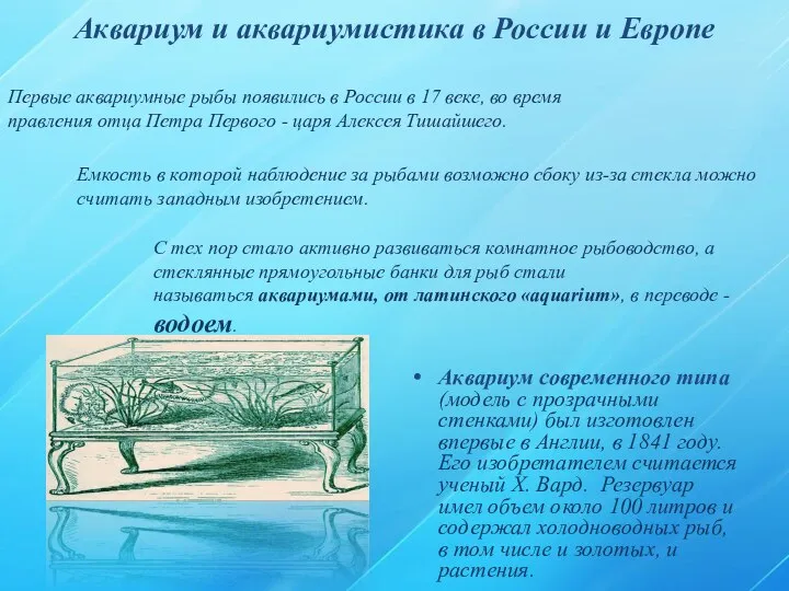 Аквариум и аквариумистика в России и Европе Аквариум современного типа (модель с
