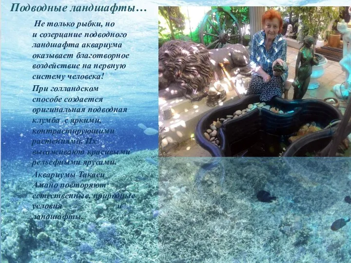 Подводные ландшафты… Не только рыбки, но и созерцание подводного ландшафта аквариума оказывает