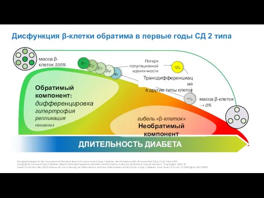 Дисфункция β-клетки обратима в первые годы СД 2 типа Emerging Strategies for