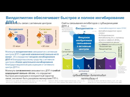 Вилдаглиптин обеспечивает быстрое и полное ингибирование ДПП-4 Nabeno M., et al. (2013).