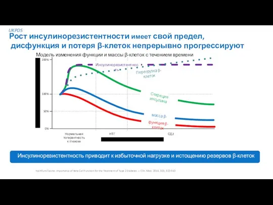 Рост инсулинорезистентности имеет свой предел, дисфункция и потеря β-клеток непрерывно прогрессируют UKPDS