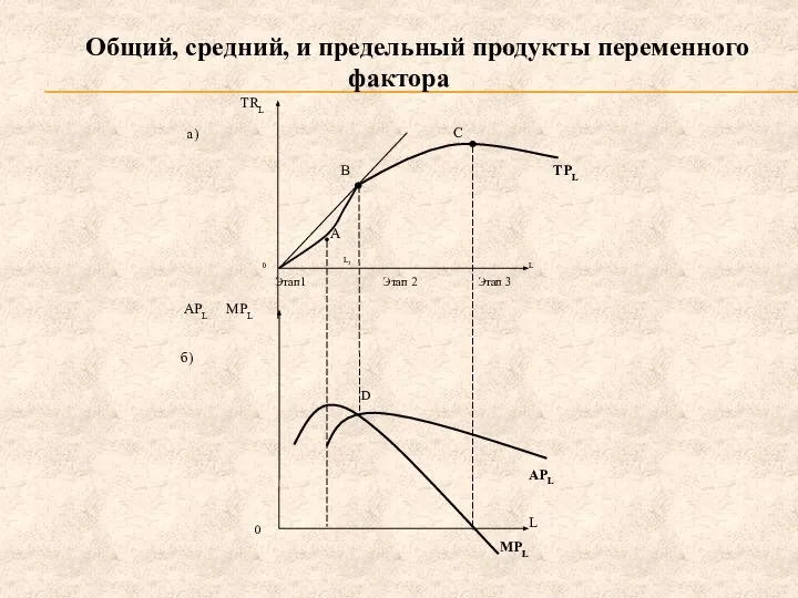 Общий, средний, и предельный продукты переменного фактора