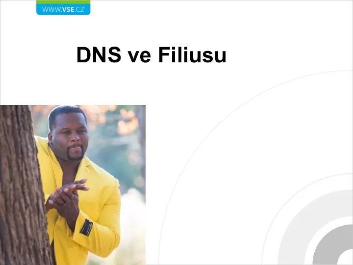 DNS ve Filiusu