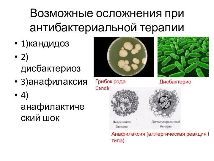 Возможные осложнения при антибактериальной терапии 1)кандидоз 2)дисбактериоз 3)анафилаксия 4)анафилактический шок Грибок рода