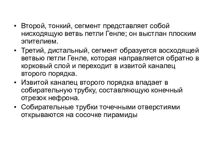 Второй, тонкий, сегмент представляет собой нисходящую ветвь петли Генле; он выстлан плоским