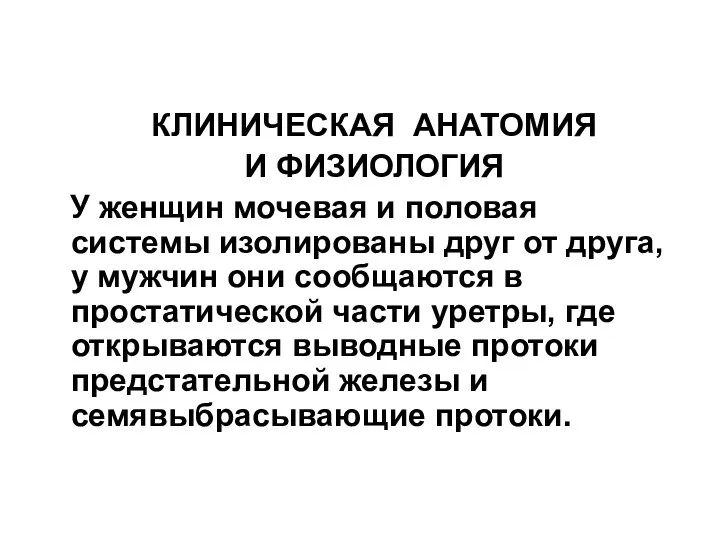 КЛИНИЧЕСКАЯ АНАТОМИЯ И ФИЗИОЛОГИЯ У женщин мочевая и половая системы изолированы друг