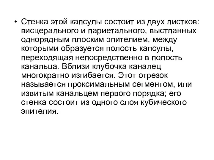 Стенка этой капсулы состоит из двух листков: висцерального и париетального, выстланных однорядным