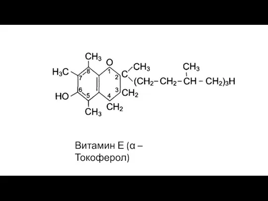 Витамин Е (α – Токоферол)