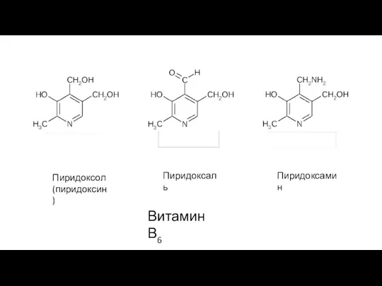 Пиридоксол (пиридоксин) Пиридоксаль Пиридоксамин Витамин В6