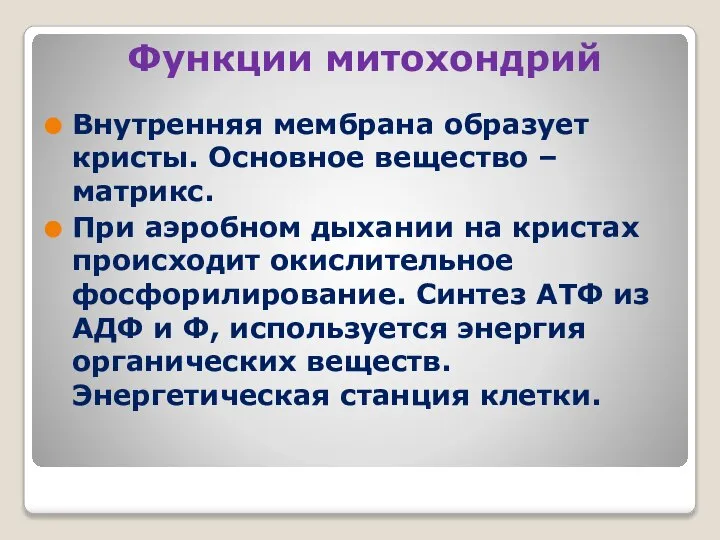 Функции митохондрий Внутренняя мембрана образует кристы. Основное вещество – матрикс. При аэробном