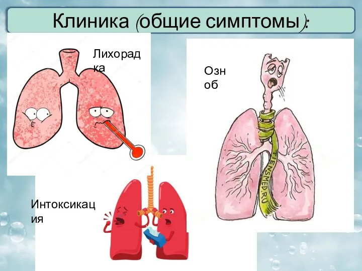 Клиника (общие симптомы): Лихорадка Озноб Интоксикация