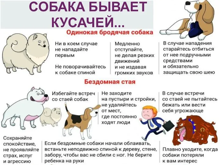 СОБАКА БЫВАЕТ КУСАЧЕЙ...