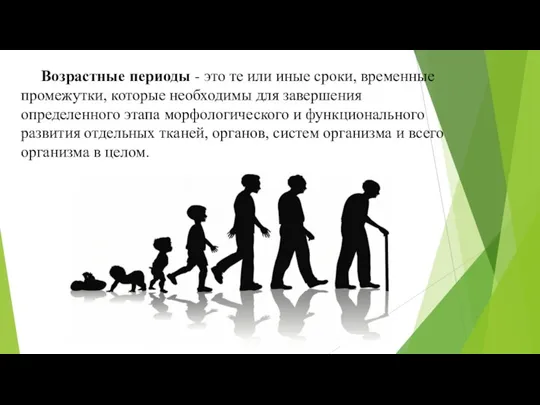 Возрастные периоды - это те или иные сроки, временные промежутки, которые необходимы