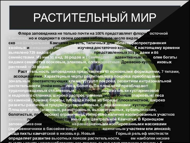 РАСТИТЕЛЬНЫЙ МИР Флора заповедника не только почти на 100% представляет флору Восточной