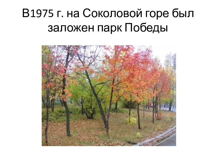 В1975 г. на Соколовой горе был заложен парк Победы