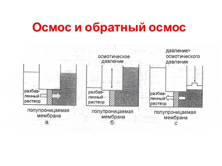 Осмос и обратный осмос