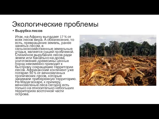 Экологические проблемы Вырубка лесов Итак, на Африку выпадает 17 % от всех