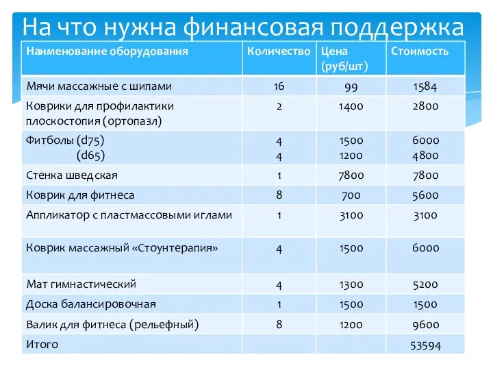 На что нужна финансовая поддержка