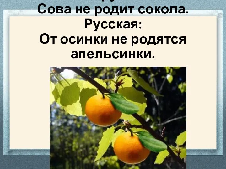 Белорусская: Сова не родит сокола. Русская: От осинки не родятся апельсинки.