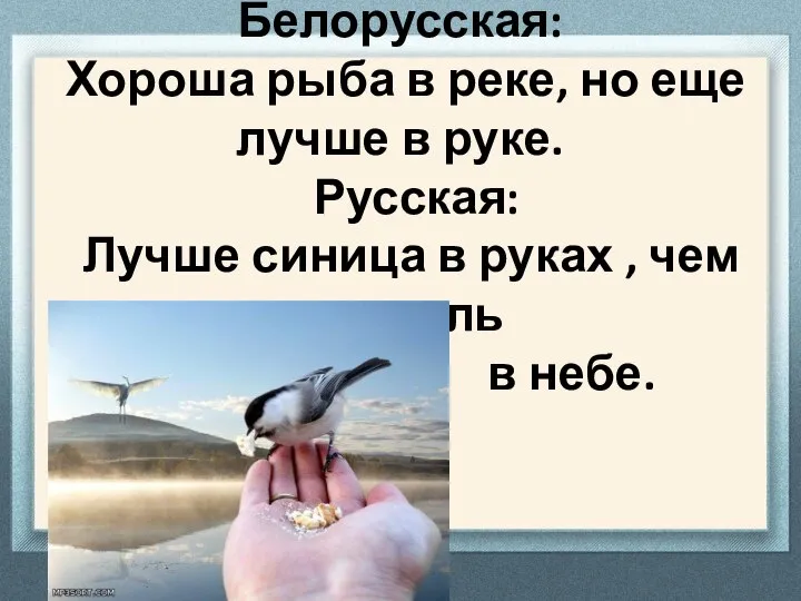 Белорусская: Хороша рыба в реке, но еще лучше в руке. Русская: Лучше