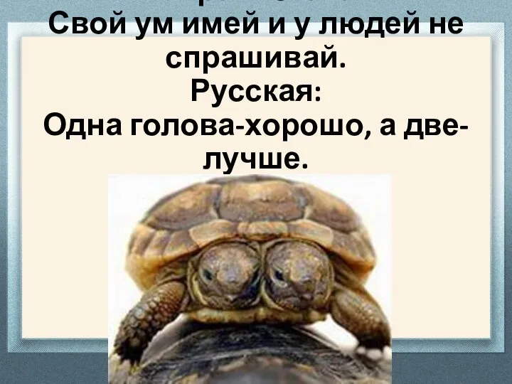 Украинская: Свой ум имей и у людей не спрашивай. Русская: Одна голова-хорошо, а две-лучше.