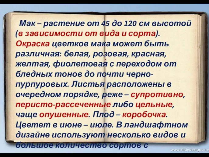 Мак – растение от 45 до 120 см высотой (в зависимости от